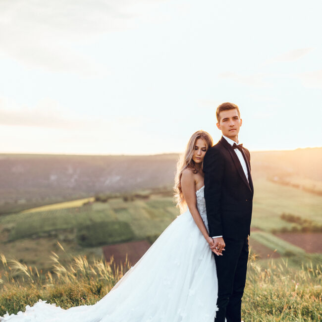 Brautpaar, Feld, Langes Kleid